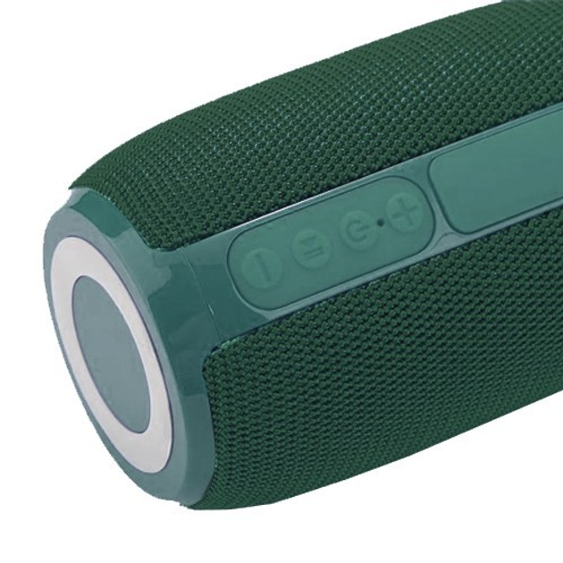 Портативна колонка T&G TG653 Bluetooth, rgb підсвічування, speakerphone, FM, USB, TF, AUX зелена), зображення 2 Портативна колонка T&G TG653 Bluetooth, rgb підсвічування, speakerphone, FM, USB, TF, AUX зелена), зображення 2