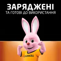 Акумулятор DURACELL HR03/ААА Ni-Mh 900mAh 4bl), мініатюра зображення № 3