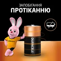 Батарейка DURACELL D LR20 MN1300 2BL), мініатюра зображення № 1