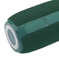 Портативна колонка T&G TG653 Bluetooth, rgb підсвічування, speakerphone, FM, USB, TF, AUX зелена), мініатюра зображення № 2
